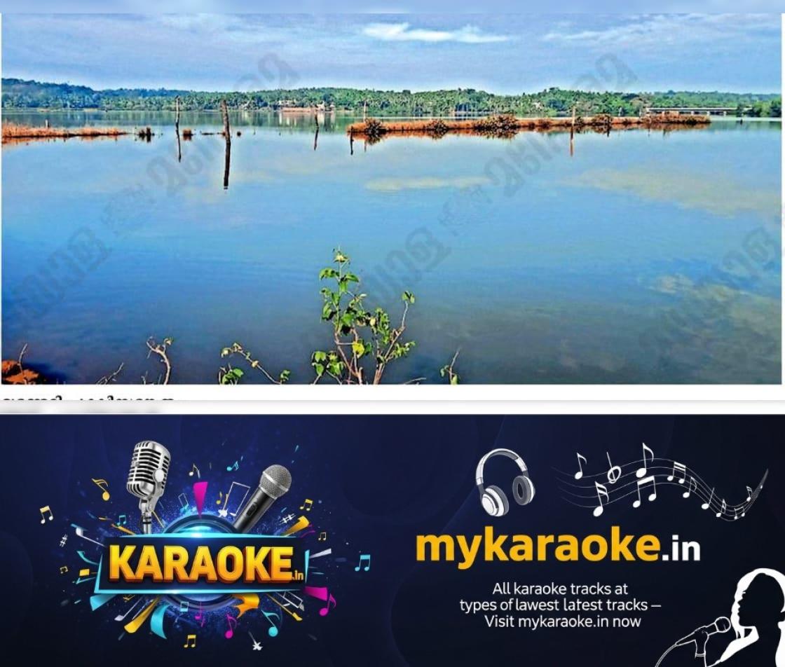 newskerala.net_1763782345_be6c7775_496799408_723284_P_7_mr