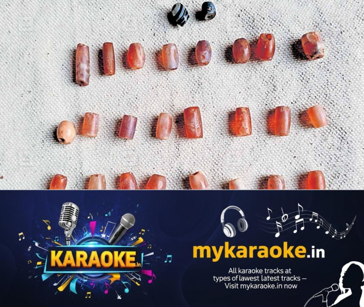 newskerala.net_1763784623_semi-precious-pearls