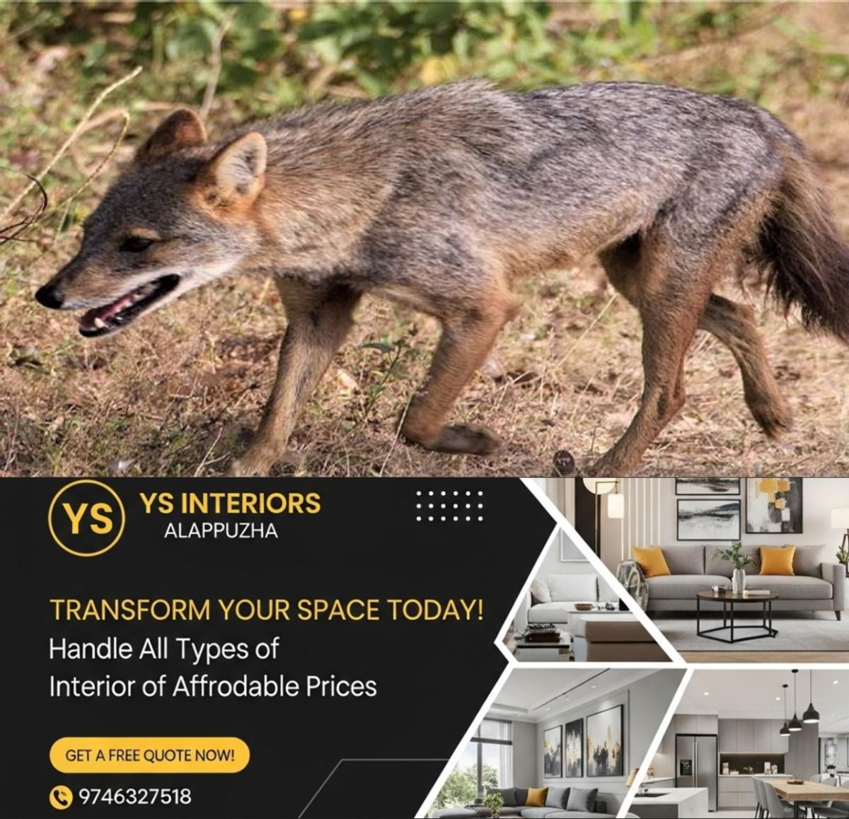 newskerala.net_1763894223_w-1280h-720format-jpgimgid-01g6wpd1knq13mezt73paf7damimgname-vhvjvjgjm