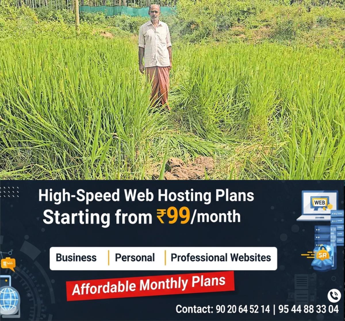 newskerala.net_1763901853_paddy-damage