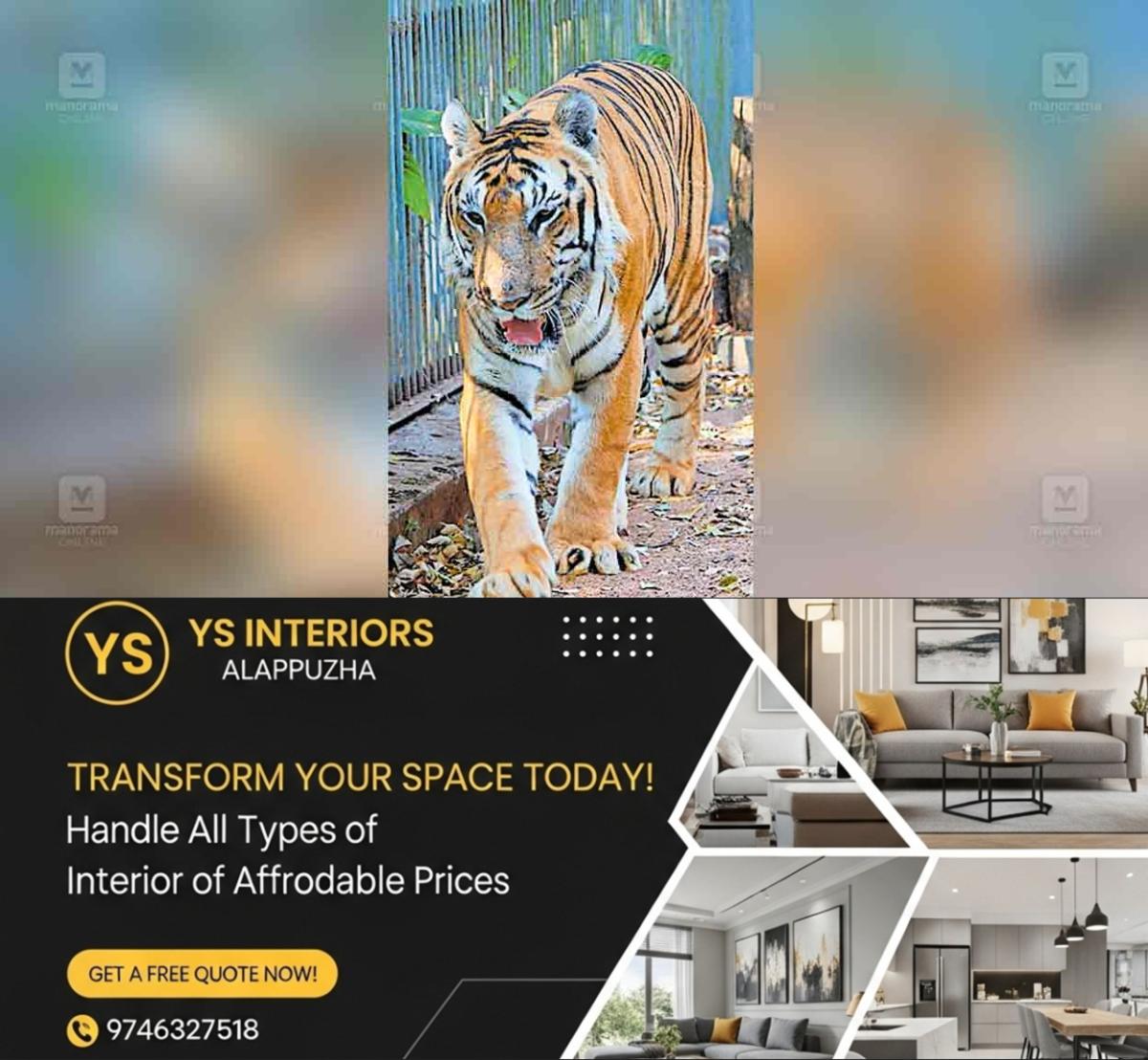 newskerala.net_1763962563_thrissur-zoo-tiger-death