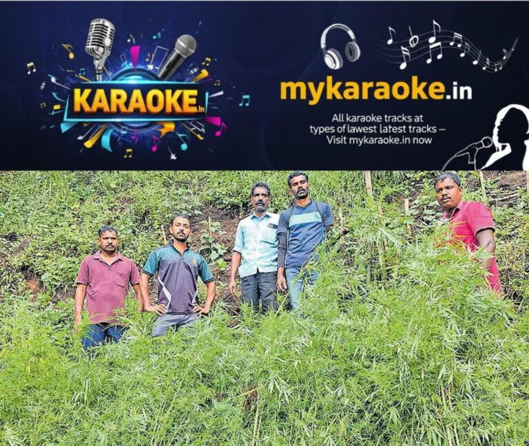 newskerala.net_1763962683_palakkad-excise-team-near-cannabis-plants