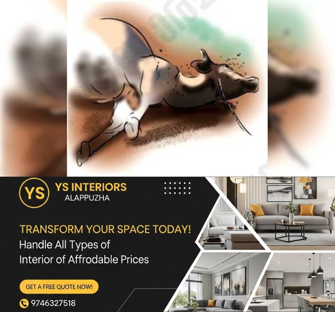 newskerala.net_1763981342_859dbc55_445137312_724250_P_12_mr