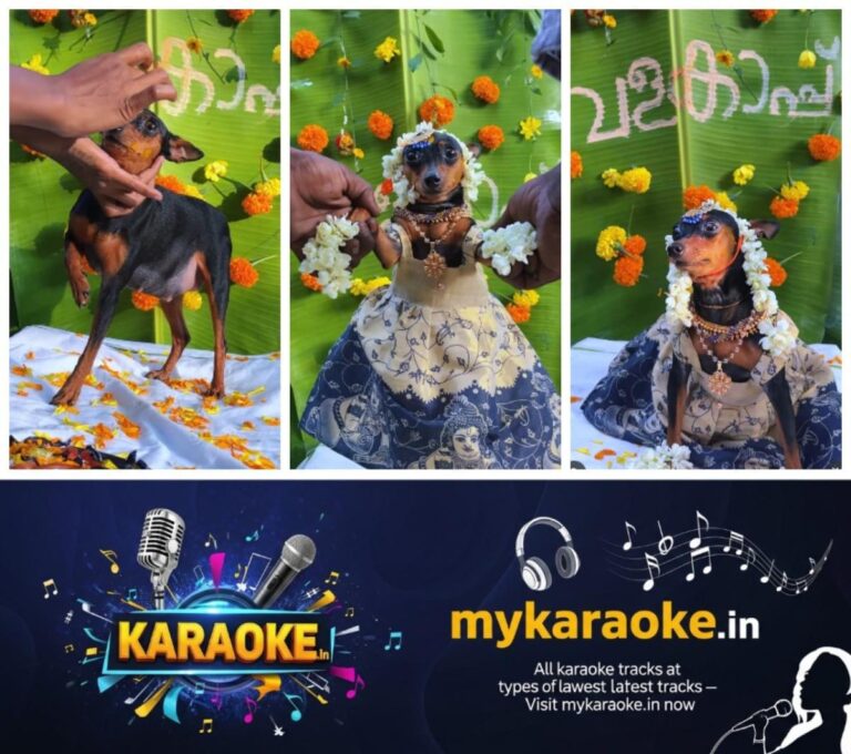 newskerala.net_1764005543_w-1280h-720format-jpgimgid-01kave7aey6mhrqkkyagvv12jwimgname-baby-shower-video-for-pregnant-pet