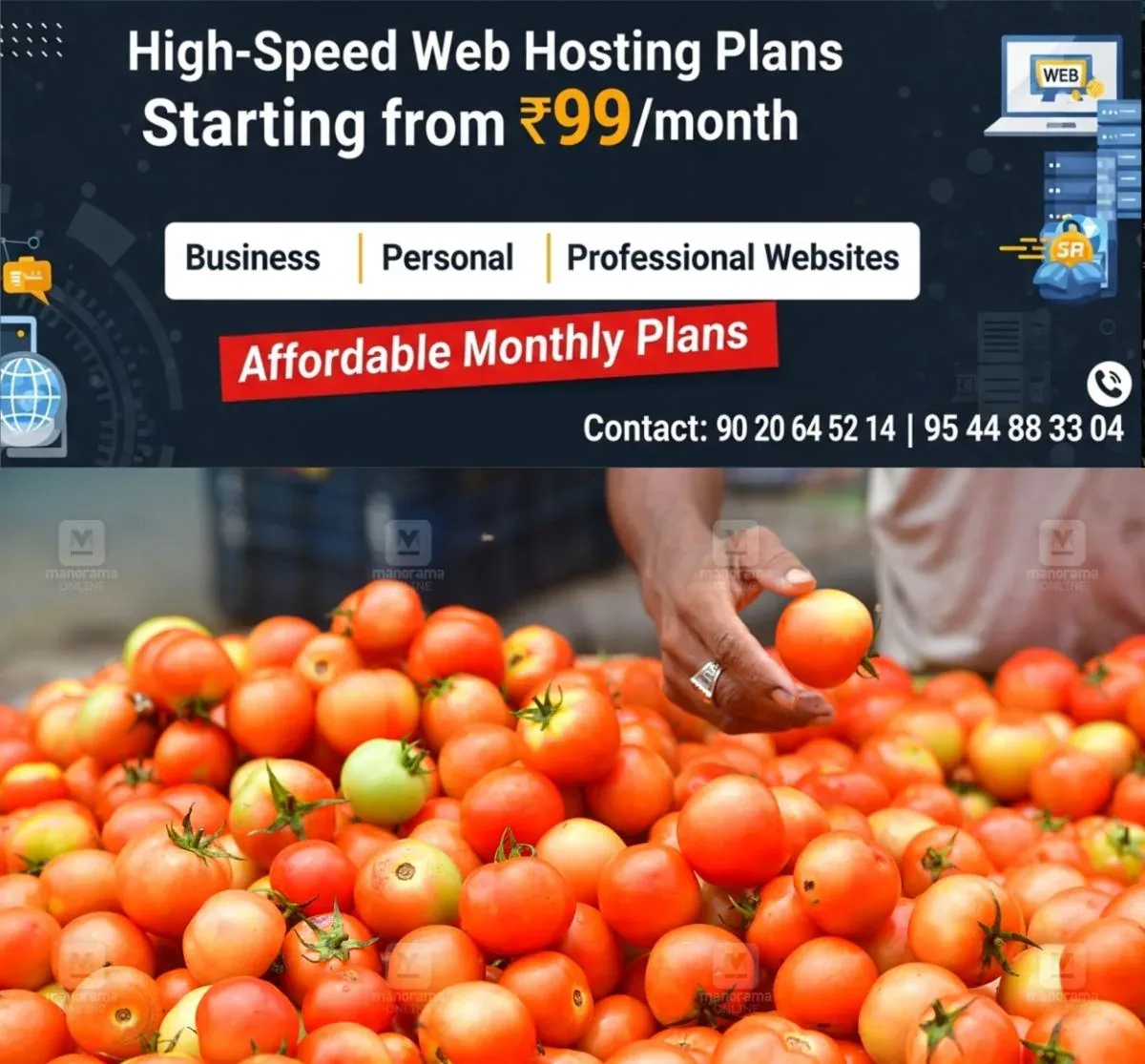 newskerala.net_1764037382_tomato-1