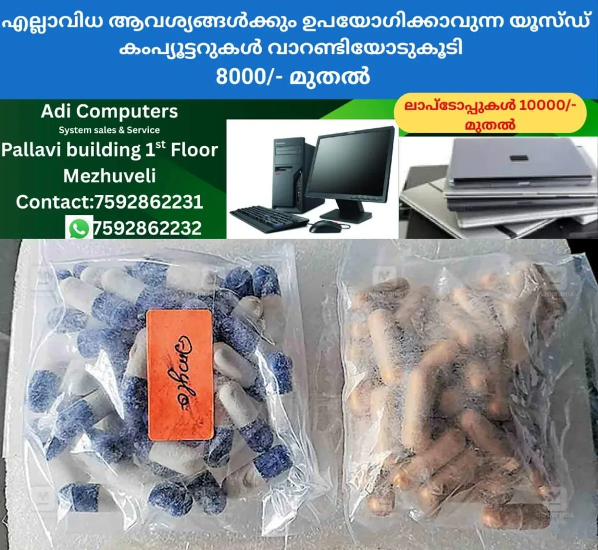 newskerala.net_1764054183_bio-capsule