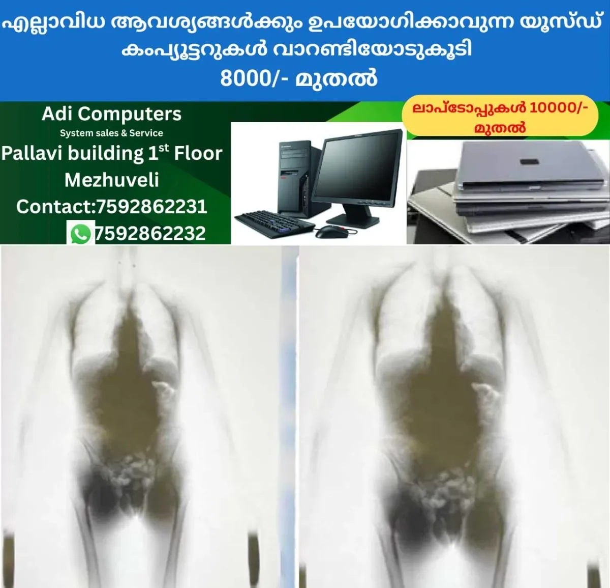newskerala.net_1764063604_w-1280h-720format-jpgimgid-01kax5nhv12g021cp6re60bja1imgname-fotojet-2025-11-25t144235.283-176