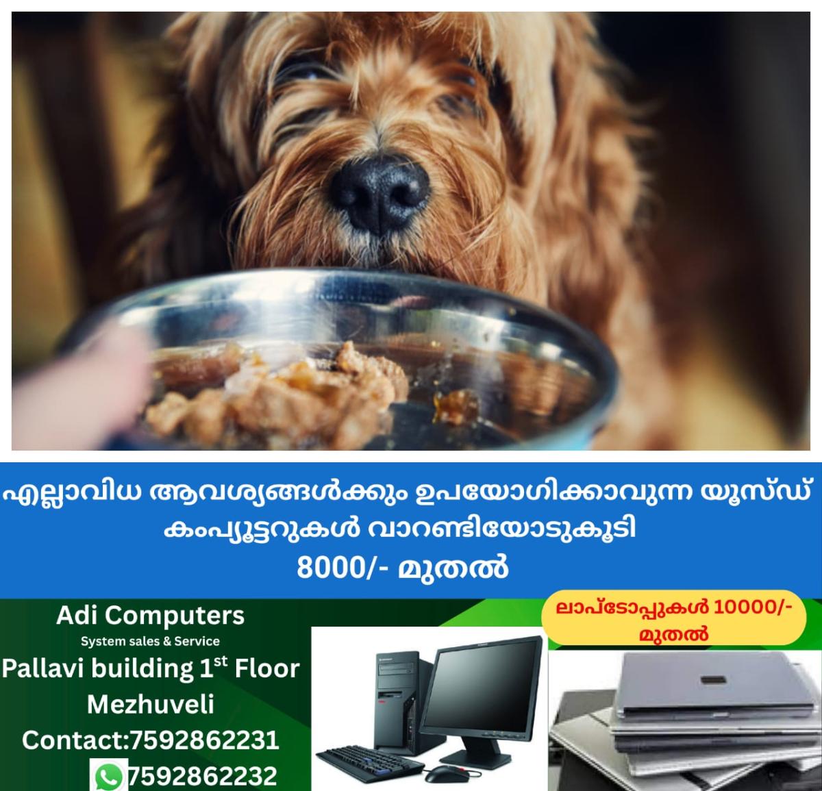 newskerala.net_1764132851_w-1280h-720format-jpgimgid-01kaz7pq9bha9ff0w7ckrdn4btimgname-fotojet-2025-11-26t101521.872-176