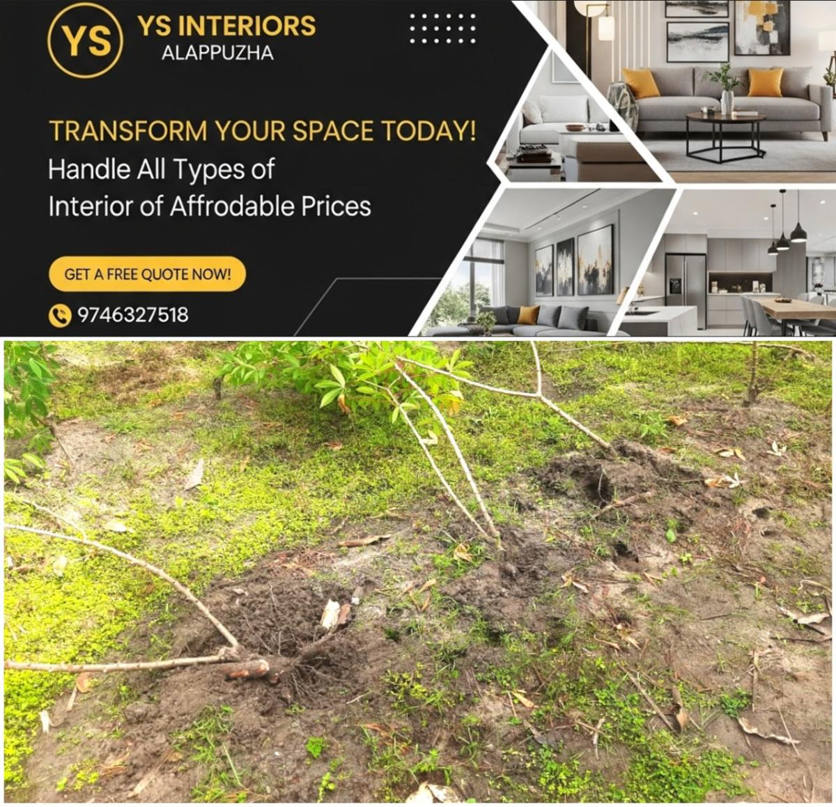 newskerala.net_1764147613_w-1280h-720format-jpgimgid-01kazmxv1wy9w2dqz3sm1en7ppimgname-wild-boar-destroy-1764146211900