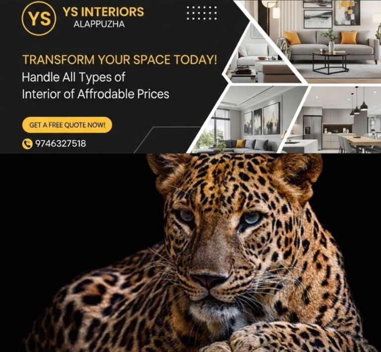 newskerala.net_1764161070_leopard