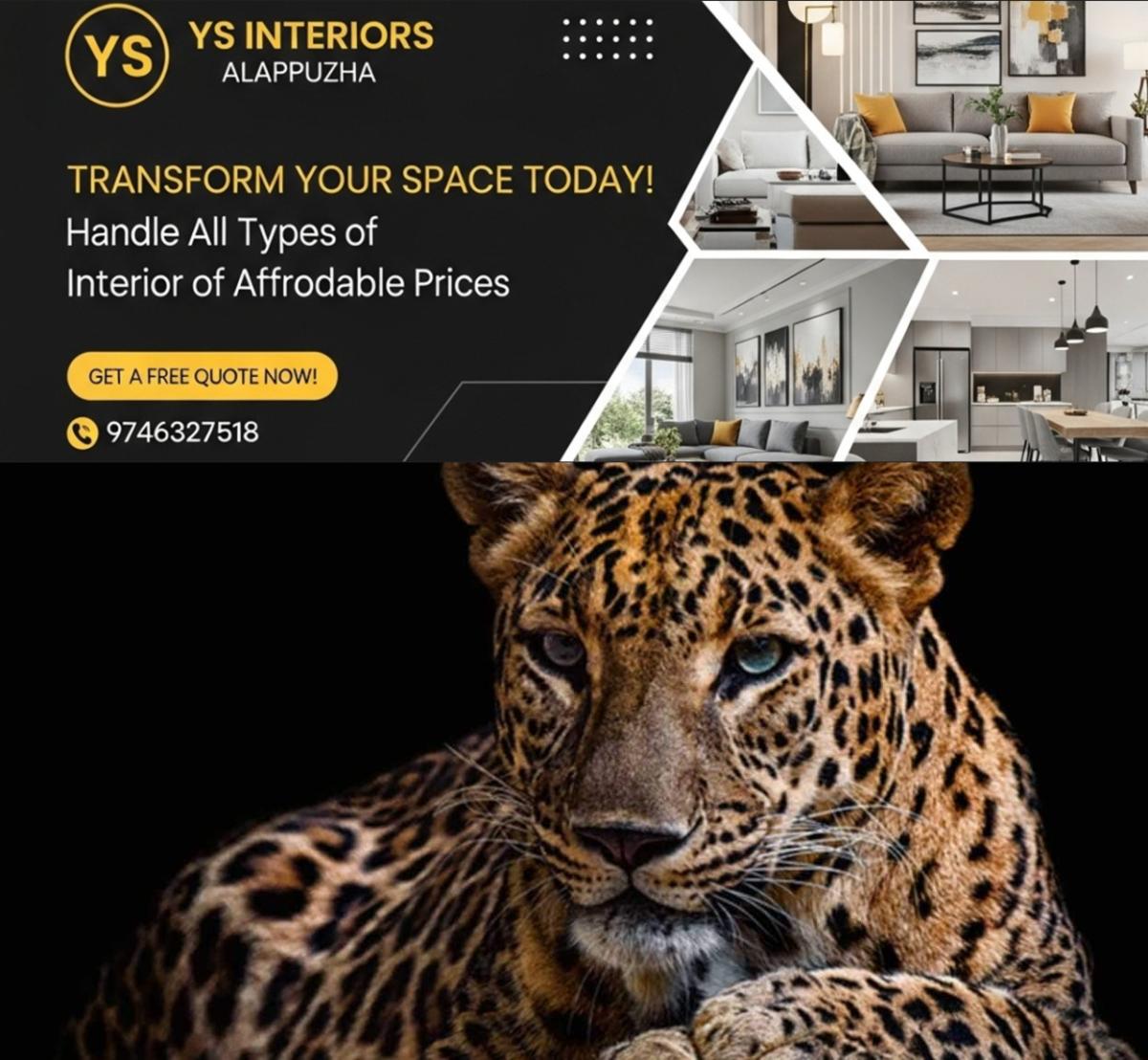 newskerala.net_1764161070_leopard