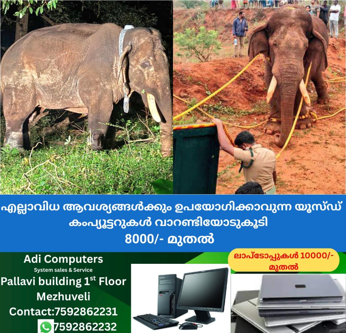 newskerala.net_1764168611_w-1280h-720format-jpgimgid-01kb096qzmmft8y6p3dq7swdddimgname-fotojet-99-1764167475188