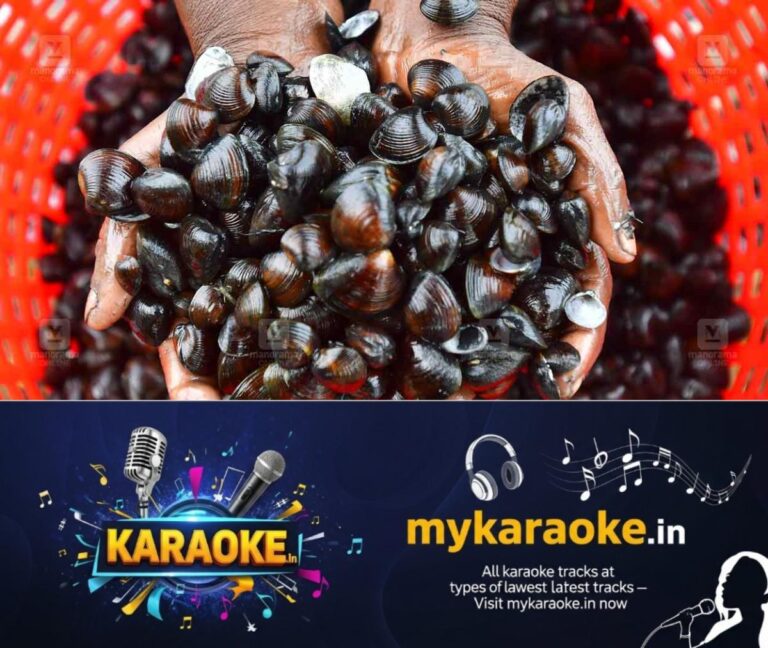 newskerala.net_1764175221_alappuzha-clam-fishing