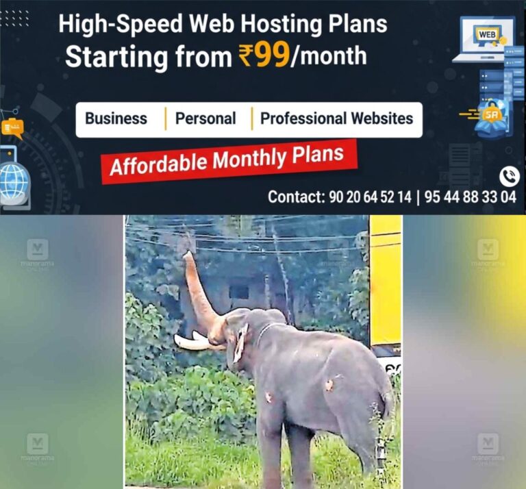 newskerala.net_1764209186_kuravalagad-elephant