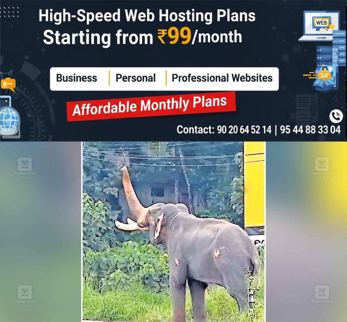 newskerala.net_1764209186_kuravalagad-elephant