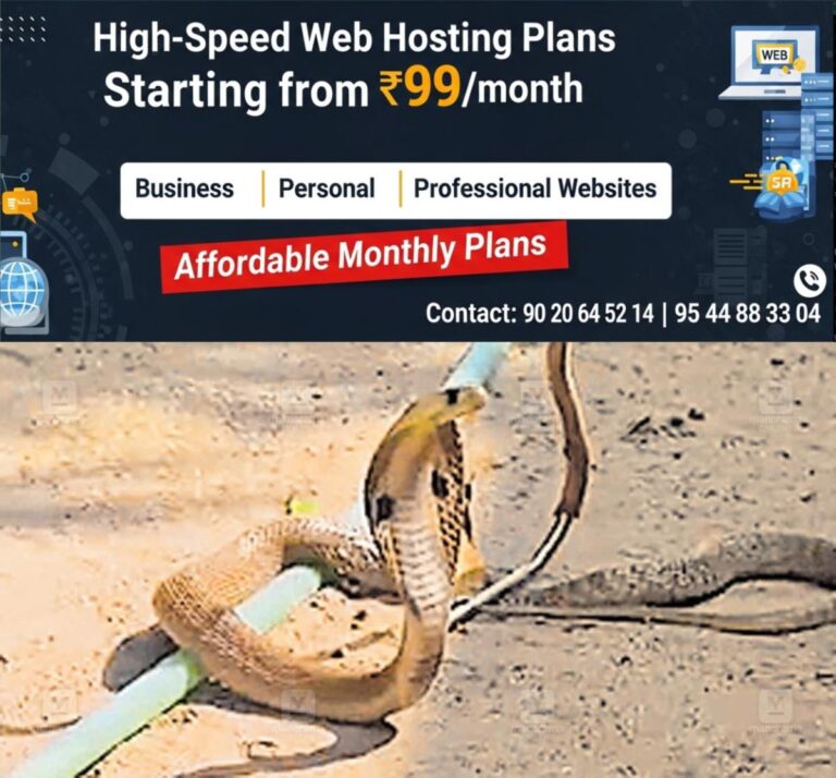 newskerala.net_1764211809_1764211689_snake