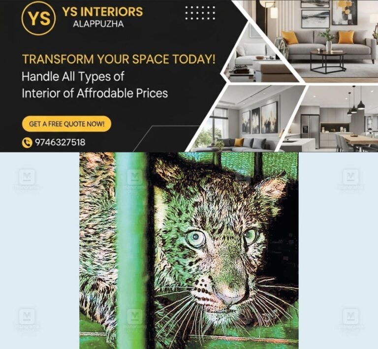 newskerala.net_1764218790_1764218658_leopard