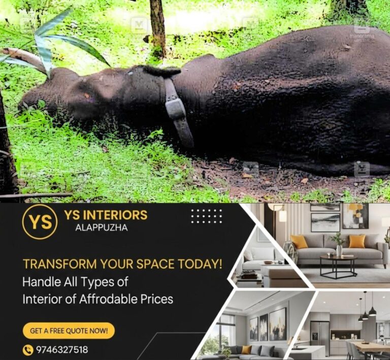 newskerala.net_1764222428_rolex-elephant-death