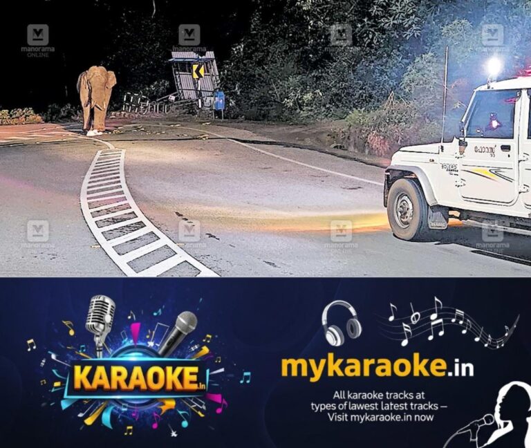 newskerala.net_1764232461_idk-wild-elephant-havoc-national-highway