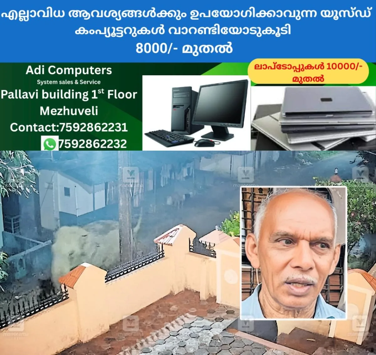 newskerala.net_1764306861_wild-elephant-attack-rescue