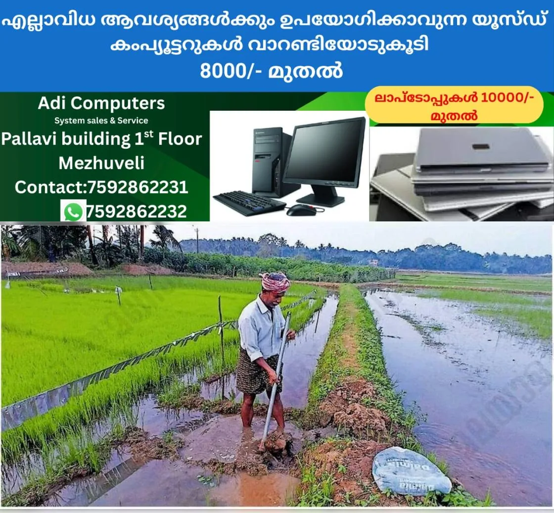 newskerala.net_1764319096_de49aaa8_317790112_726119_P_8_mr