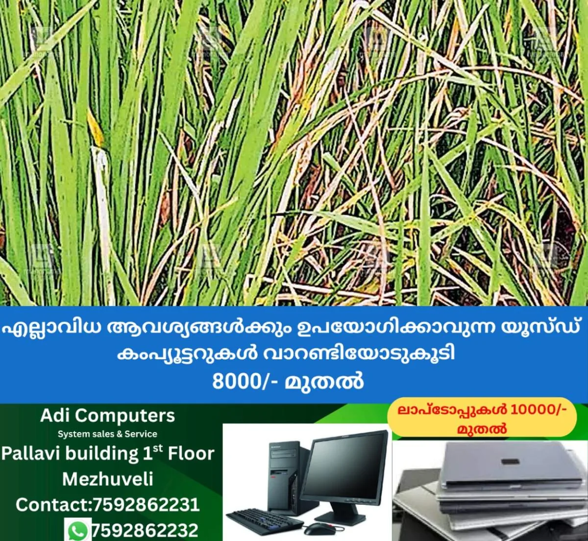 newskerala.net_1764321132_puthanchira-vilwamangalam-paadi-field