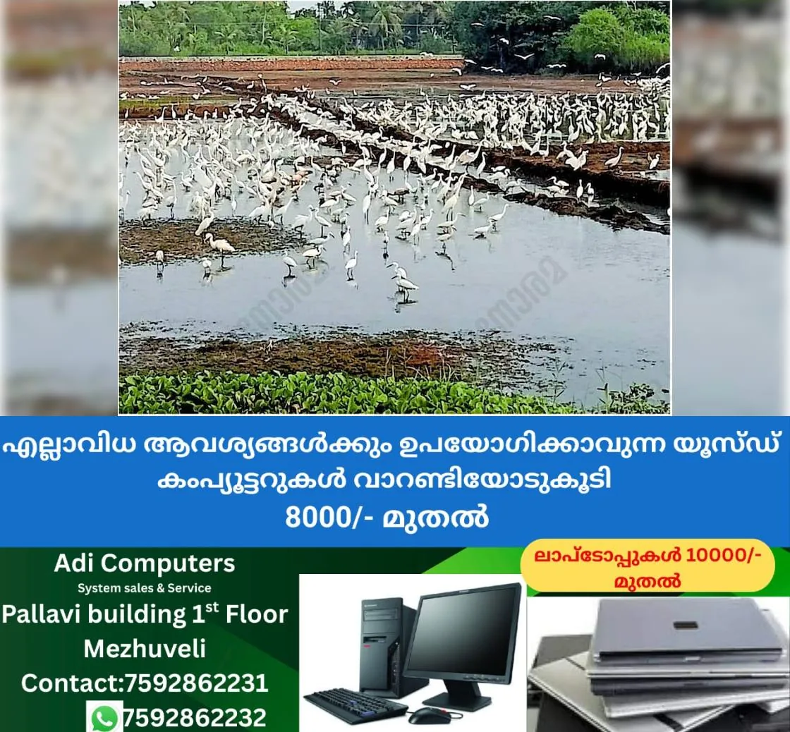 newskerala.net_1764332888_527c7107_634845728_726191_P_8_mr