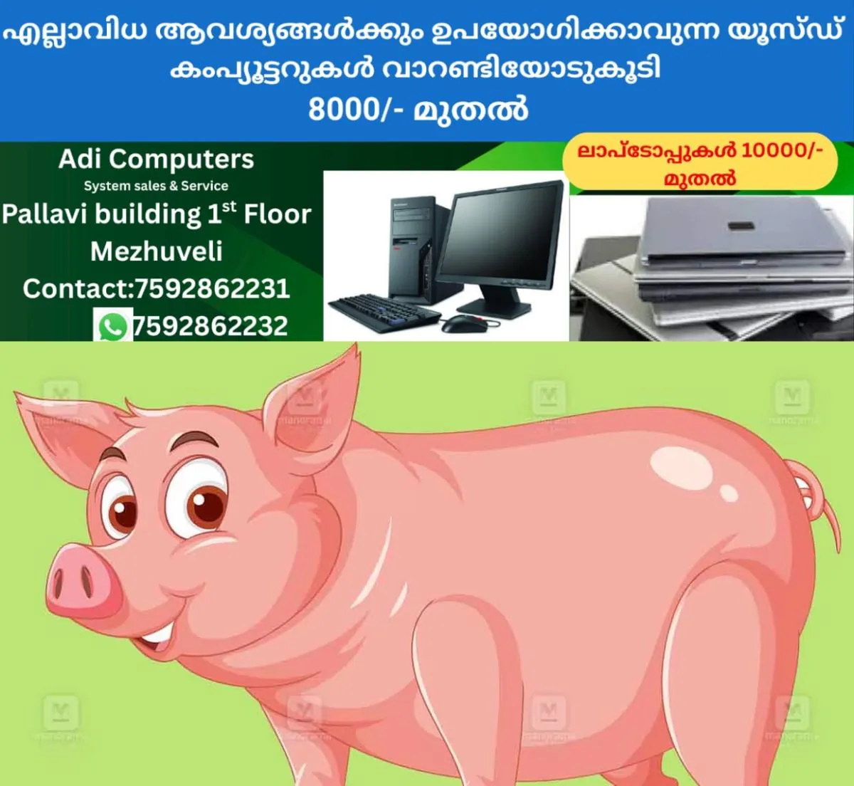 newskerala.net_1764397227_pig