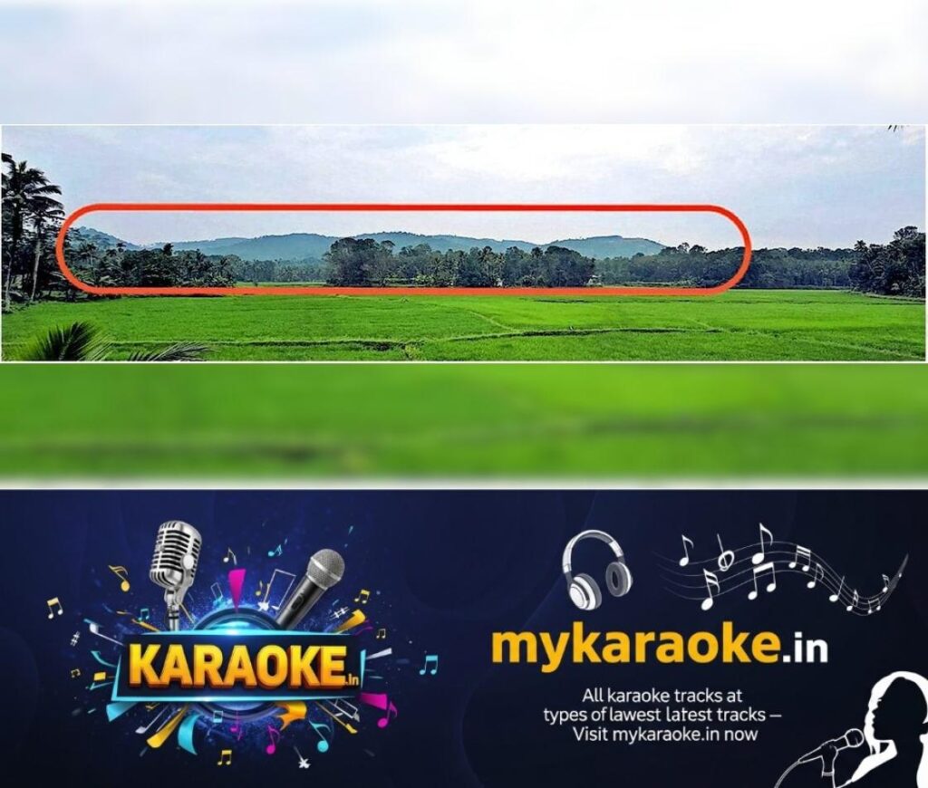 newskerala.net_1764409217_aa432585_394496432_726513_P_7_mr