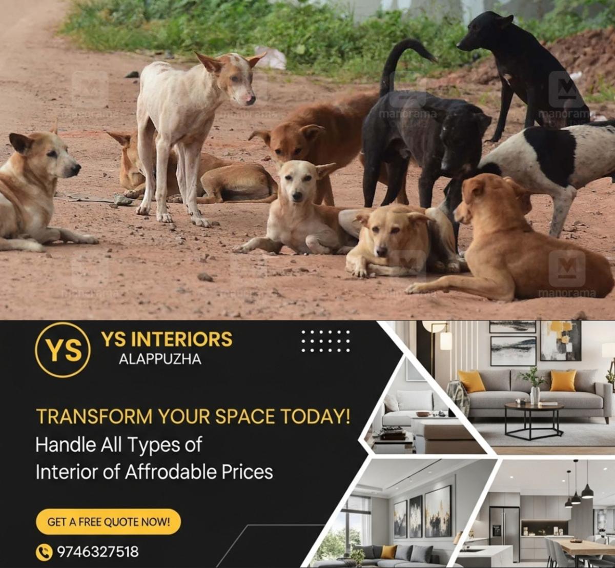 newskerala.net_1764409816_stray-dogs-menace