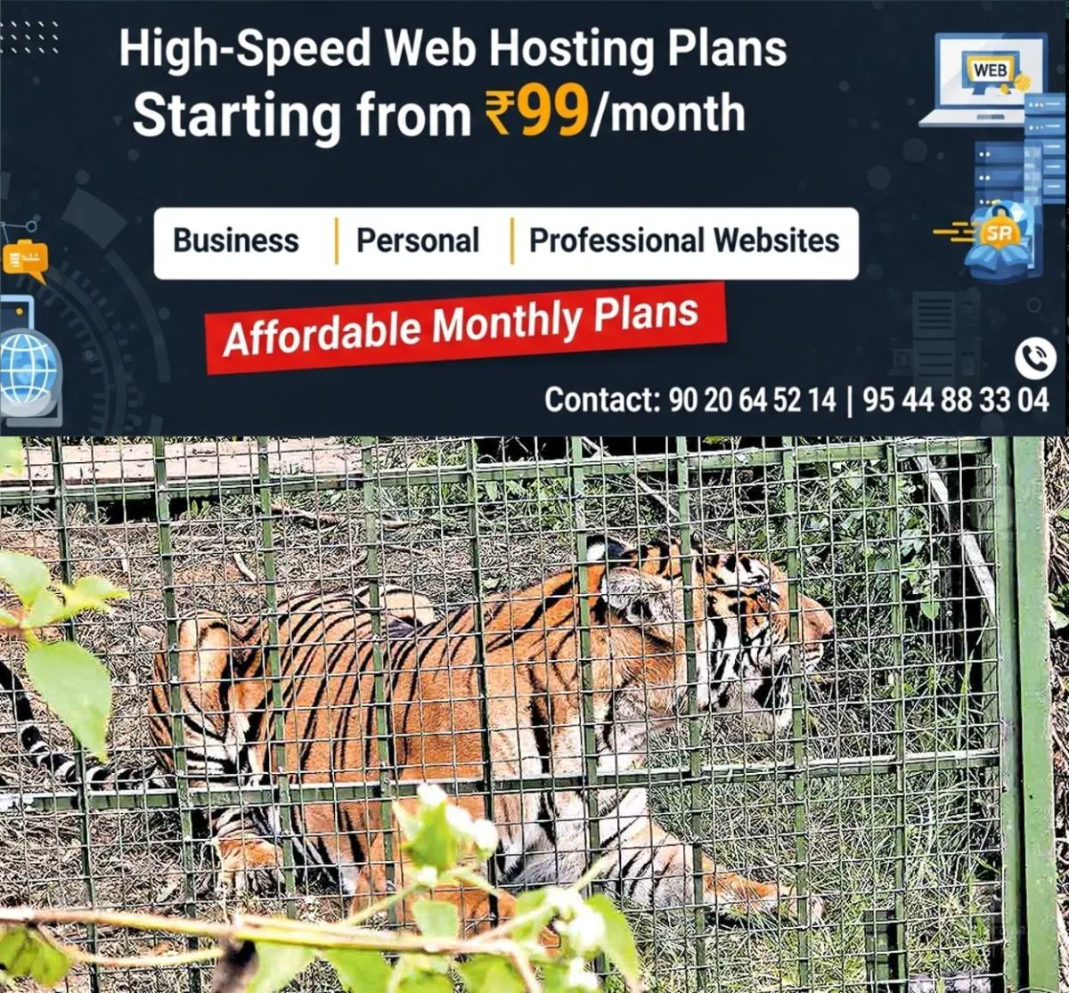 newskerala.net_1764487342_1764487217_wayanad-tiger