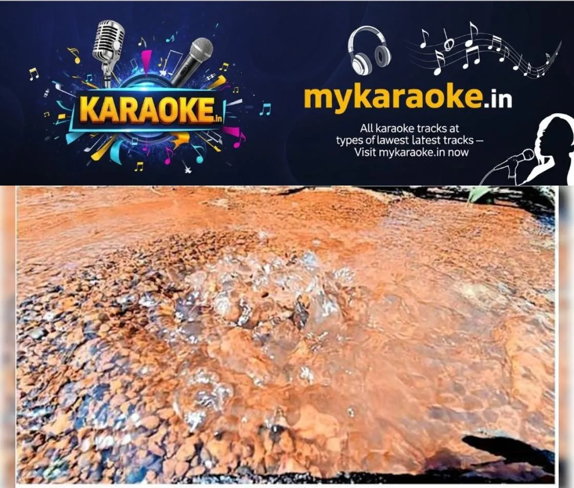 newskerala.net_1764487465_fa079c63_582929280_727184_P_15_mr