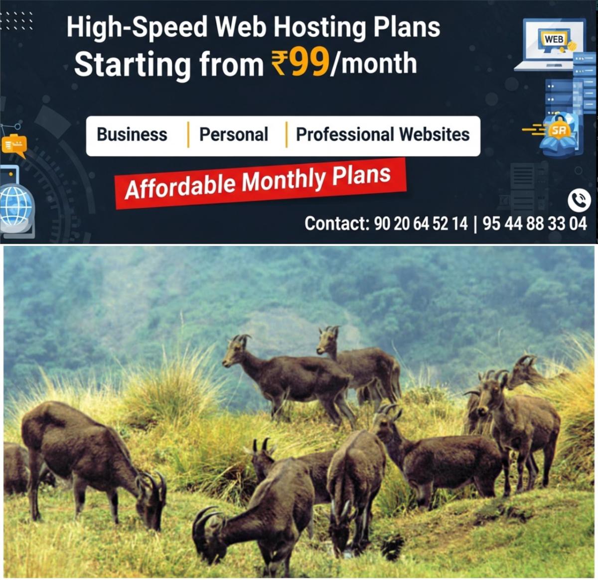 newskerala.net_1764498371_w-1280h-720format-jpgimgid-01kanns8hz3dkyfrp318jpvcdpimgname-eravikulam-1763811566143