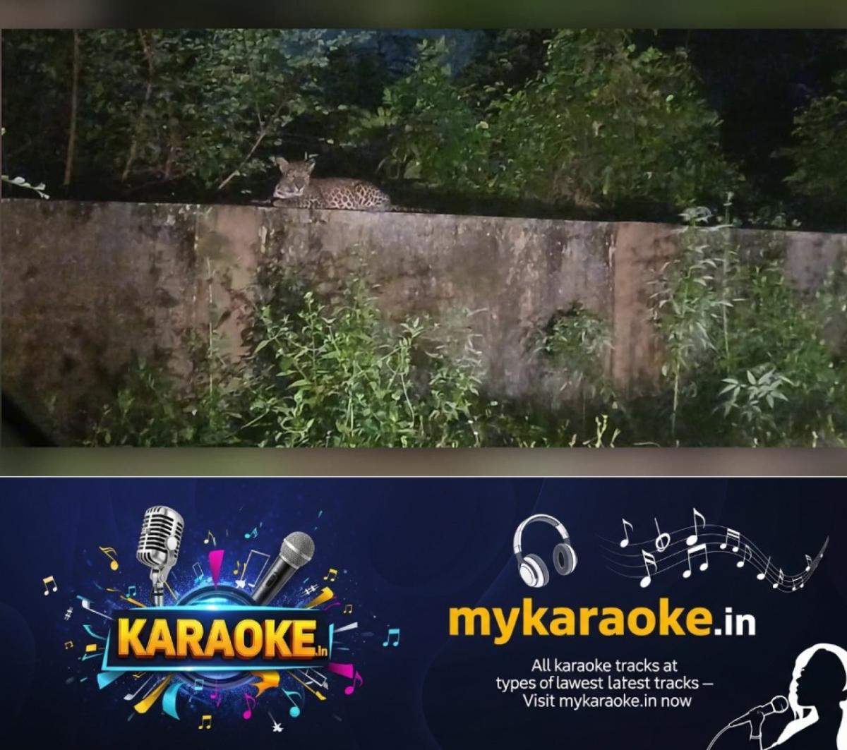 newskerala.net_1764498542_w-1280h-720format-jpgimgid-01kba4q8dn48t086sb0sx14jhaimgname-dd-vlc-snap-01198-1764498317748.pn