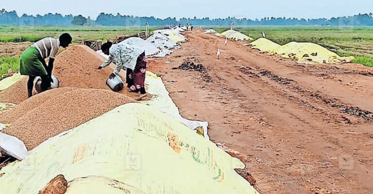 paddy-procurement-alappuzha-1.jpg