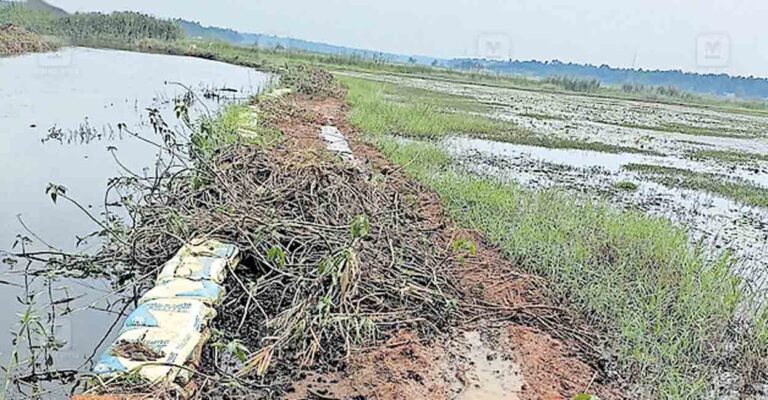 punayurkulam-bund-damage.jpg