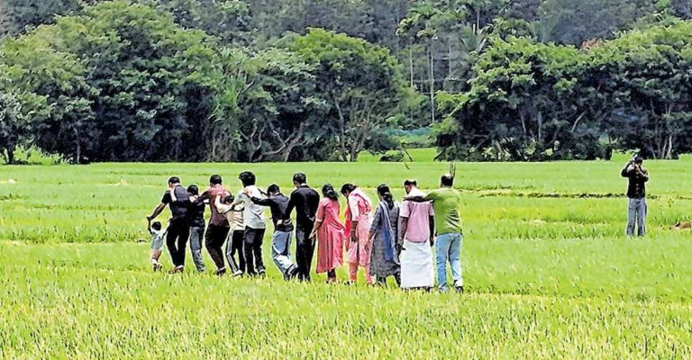 wayanad-paddy-fields.jpg