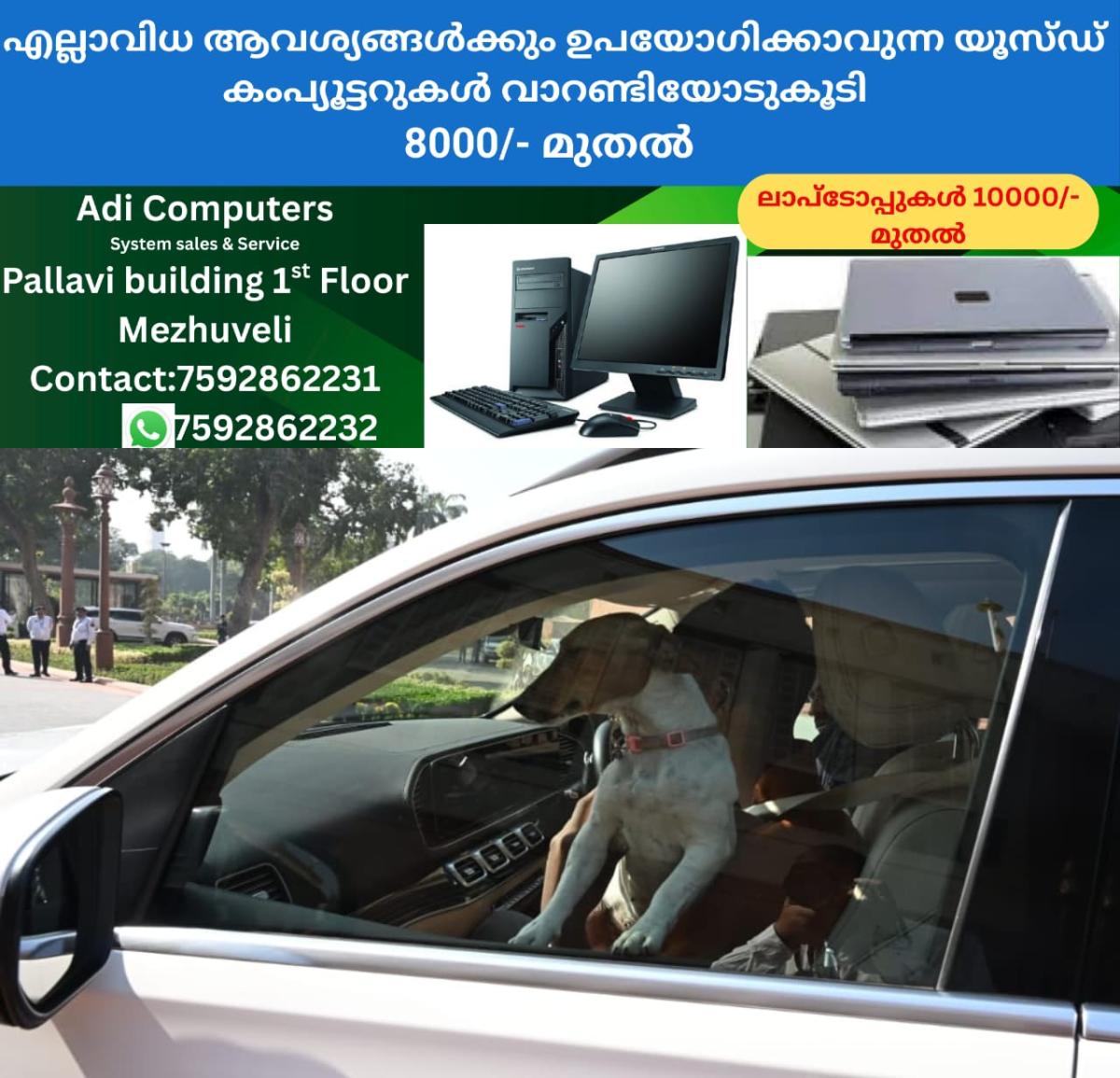 newskerala.net_1764578343_w-1280h-720format-jpgimgid-01kbcgb1xcw8twc9bs758xkj1rimgname-congress-mp-brings-dog-to-parliamen