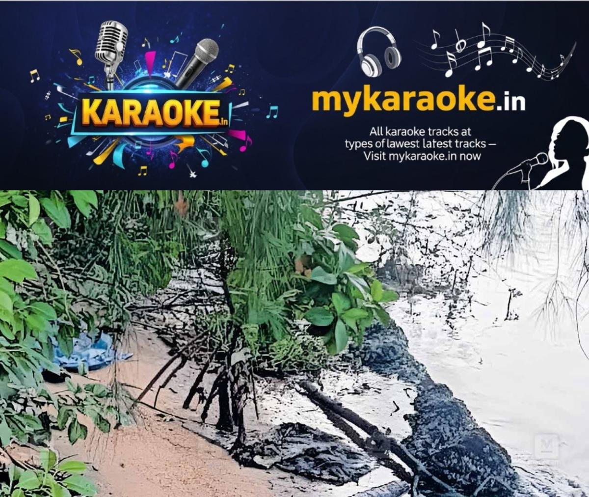 newskerala.net_1764579254_dredging-threatens-sattar-island-near-paravur