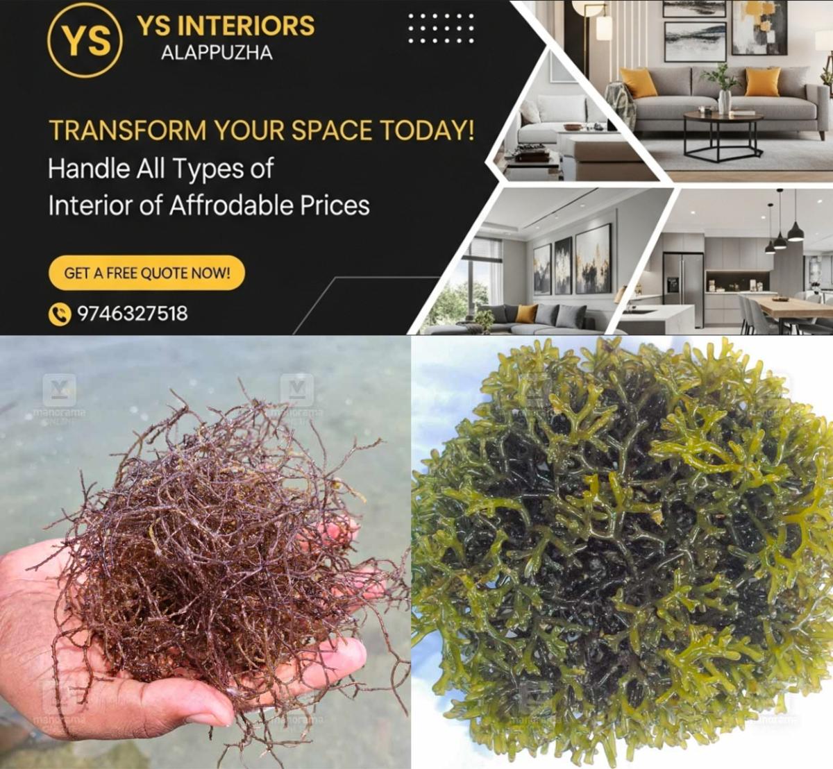 newskerala.net_1764583503_seaweed-expo-india