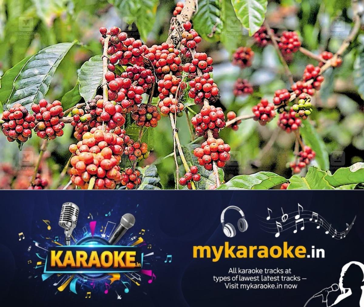 newskerala.net_1764583936_economic-impact-unharvested-crops