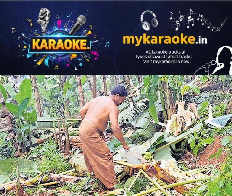 newskerala.net_1764648483_udabanoor-wild-elephant-mence