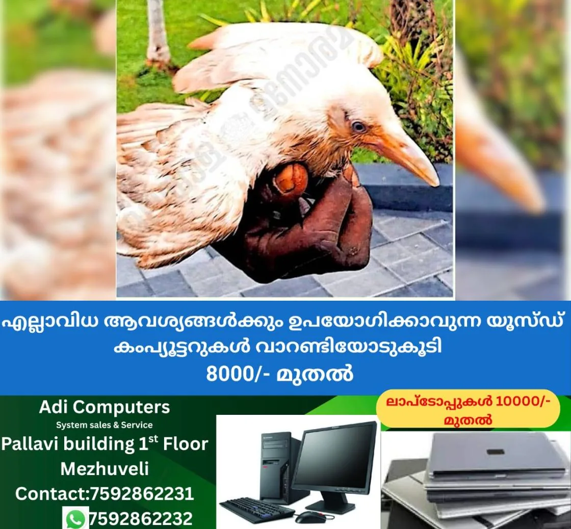 newskerala.net_1764744964_487f45a5_480940496_728505_P_20_mr