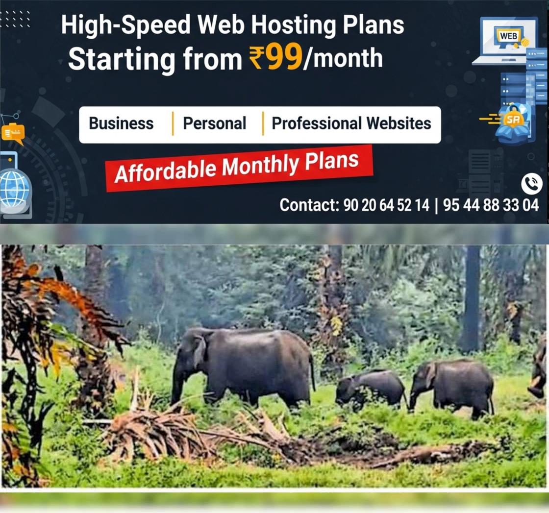 newskerala.net_1764747493_dbee12fb_375461216_728518_P_6_mr