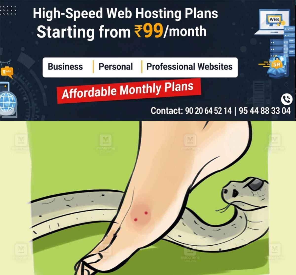 newskerala.net_1764749053_snake-bite-bathery