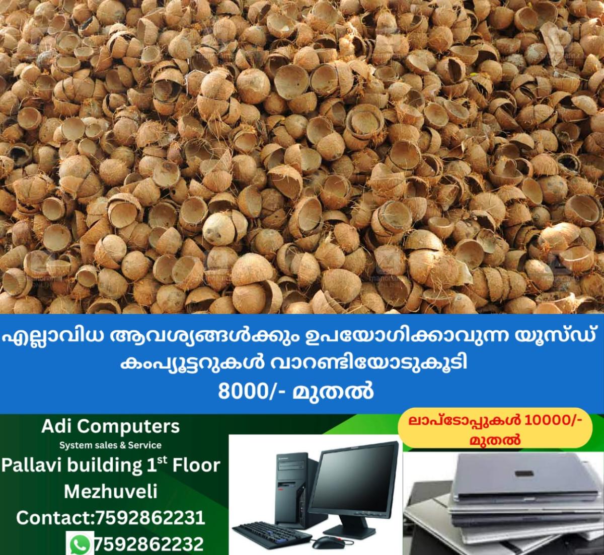 newskerala.net_1764757571_coconut-shell
