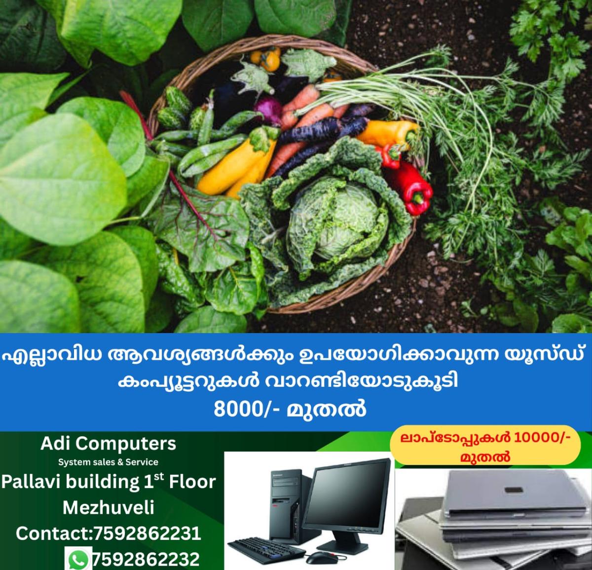 newskerala.net_1764765244_w-1280h-720format-jpgimgid-01k8whhzm9bn2zbxb330a88qvximgname-vegetables-to-grow-in-november-1761