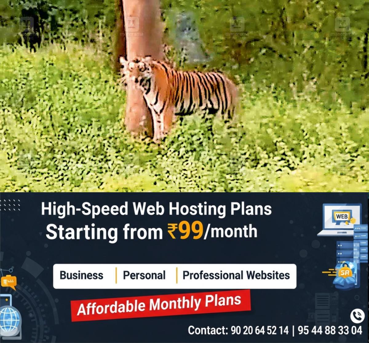 newskerala.net_1764827524_tiger-sightings-masinagudi