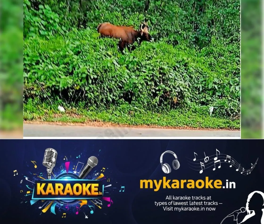 newskerala.net_1764827668_7006a7e1_502064112_728722_P_3_mr