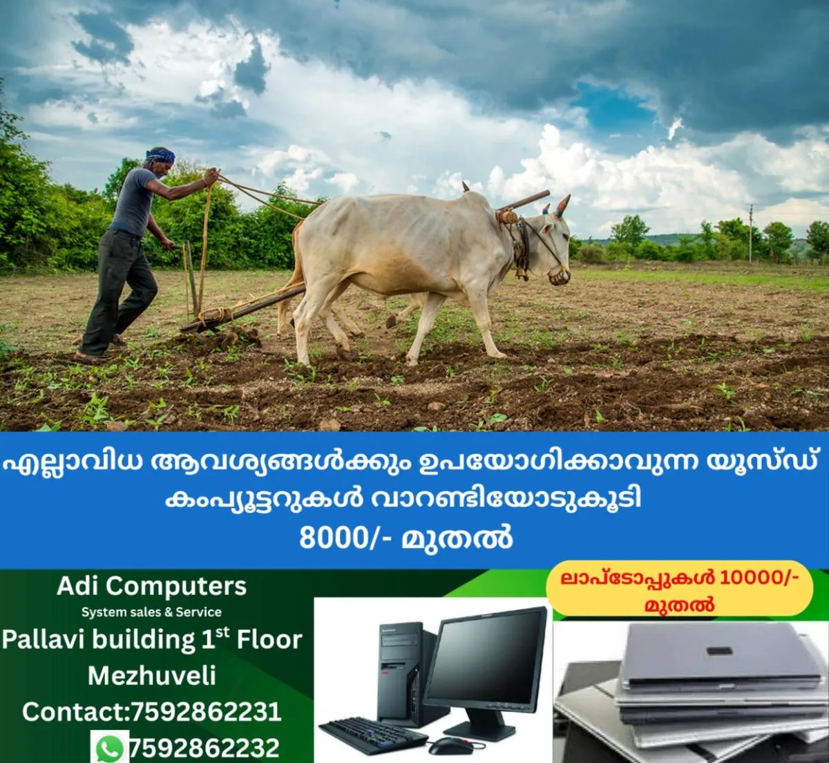 newskerala.net_1764827824_indian-farmer-bull-main